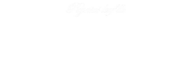 ペガサスリーフ 〜起業学習プログラム〜